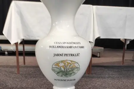 Velký úspěch našich žáků na soutěži Jarní Petrklíč